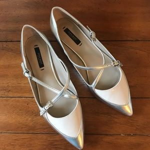 Zara Pointed Ballet Flats